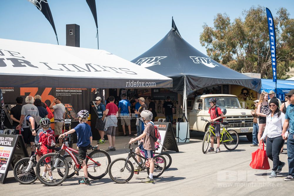 Sea Otter 2014