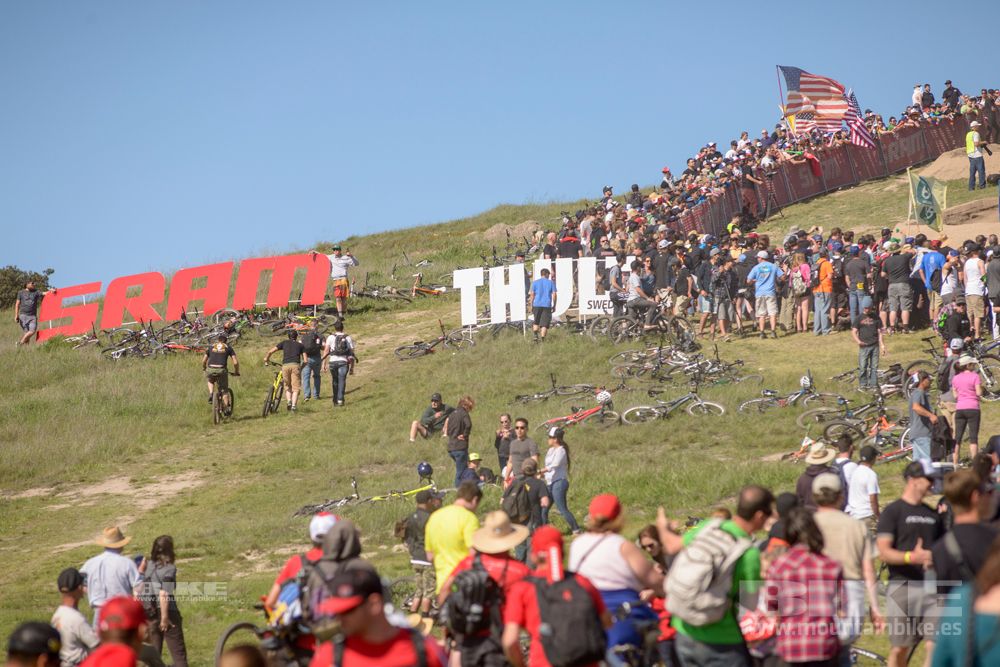 Sea Otter 2014