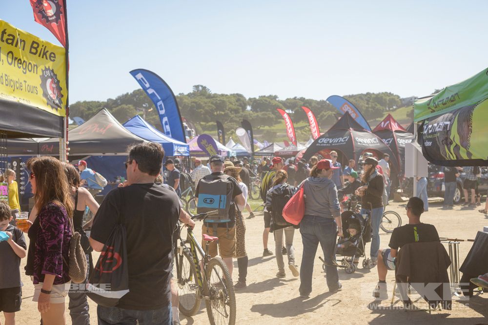 Sea Otter 2014