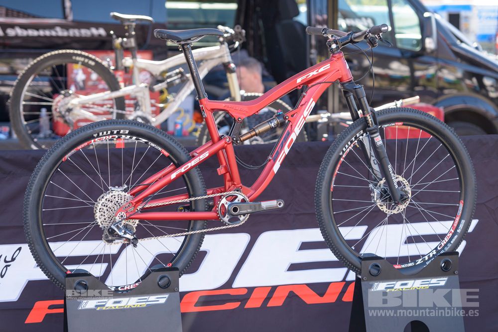 Sea Otter 2014