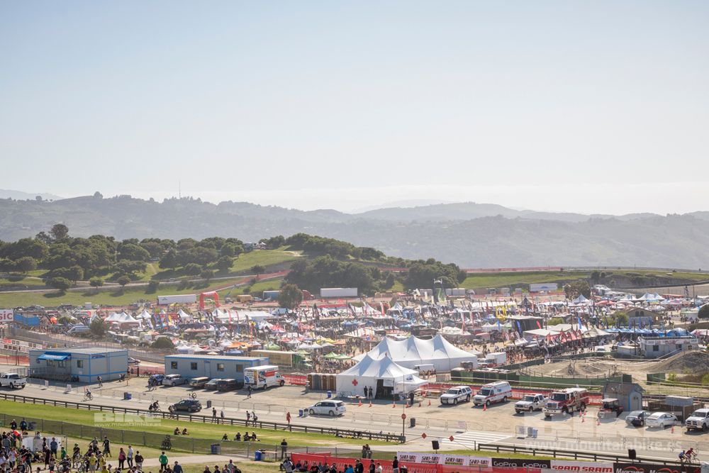 Sea Otter 2014