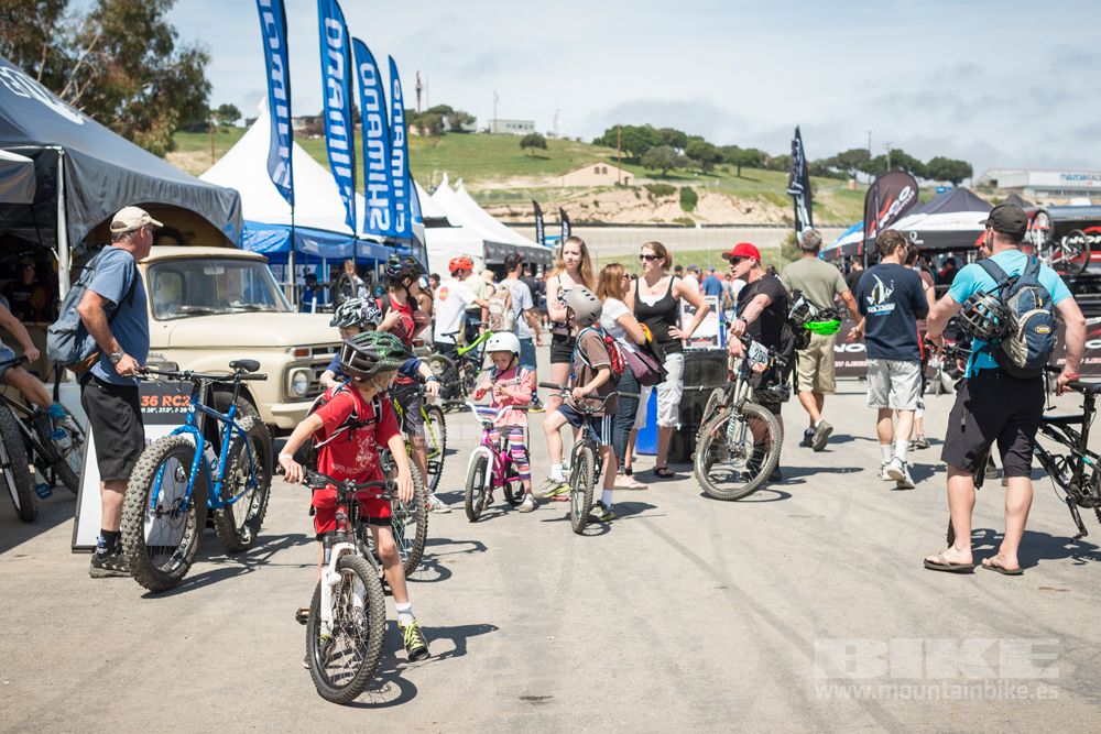 Sea Otter 2014