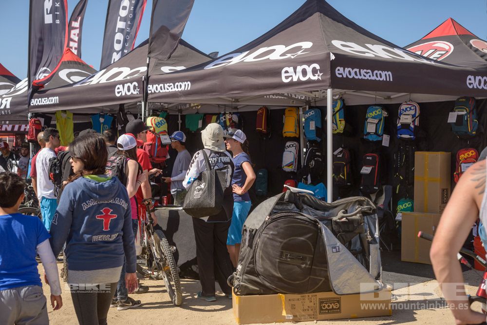 Sea Otter 2014