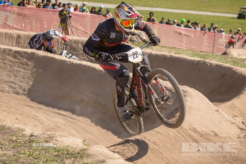 Sea Otter 2014