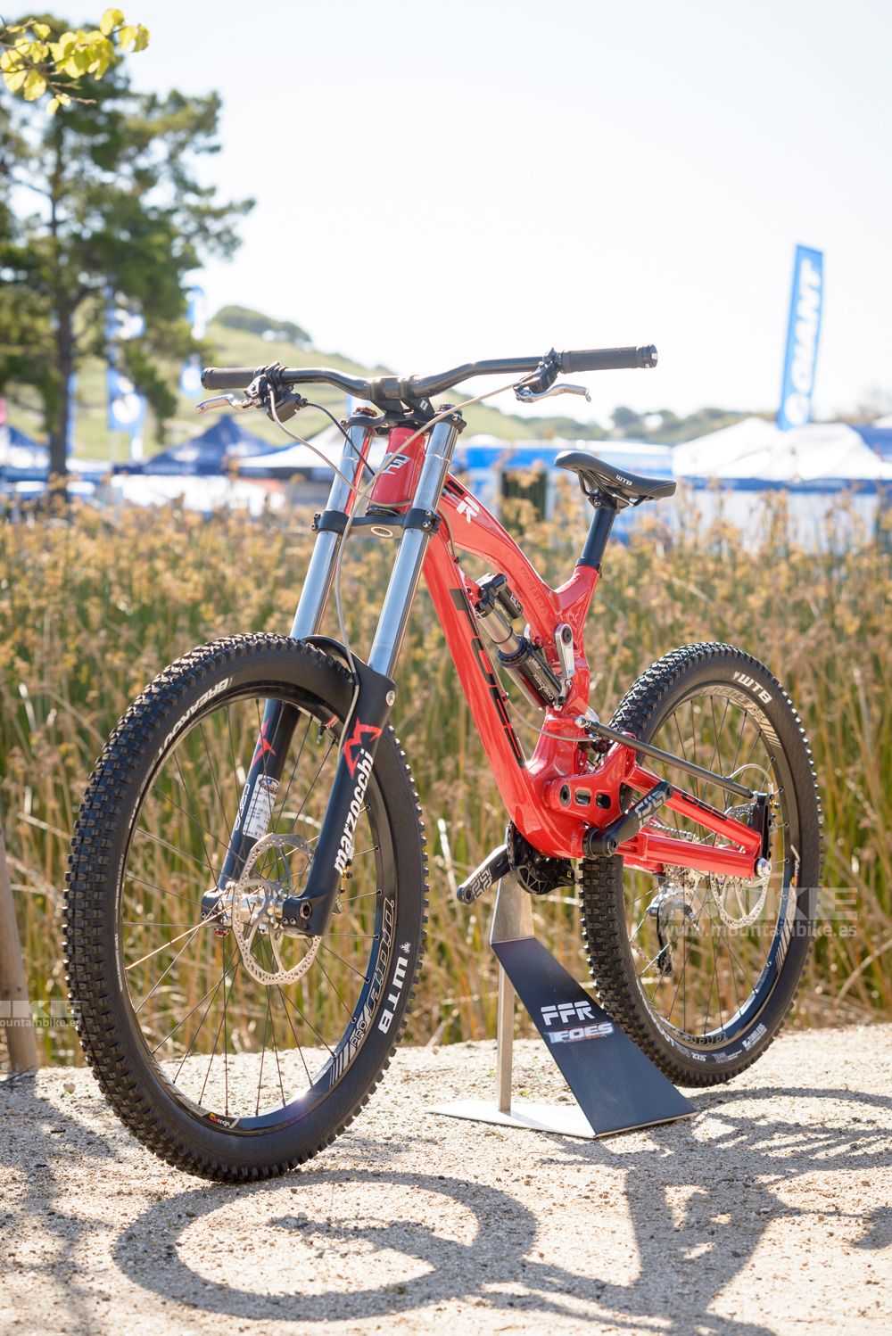 Sea Otter 2014