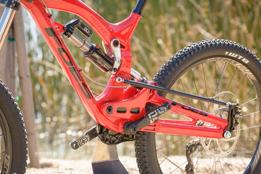 Sea Otter 2014