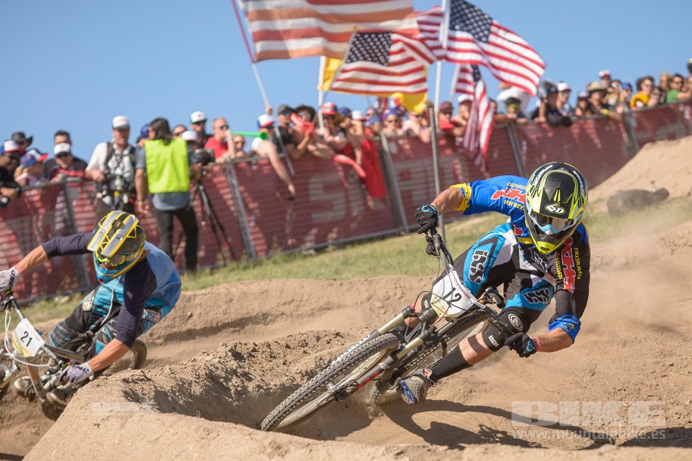 Sea Otter 2014