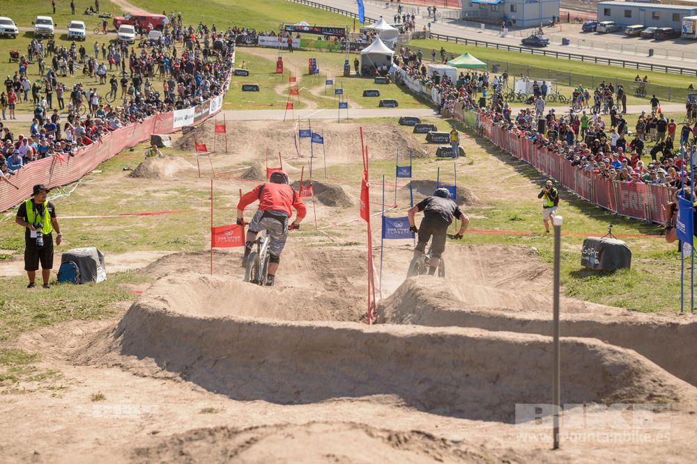 Sea Otter 2014