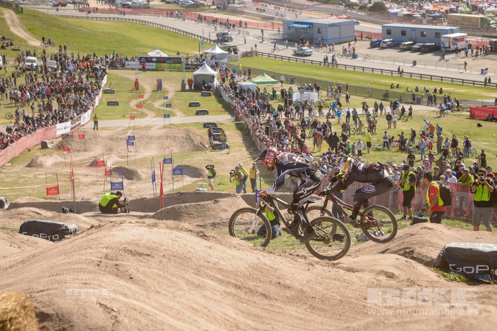 Sea Otter 2014