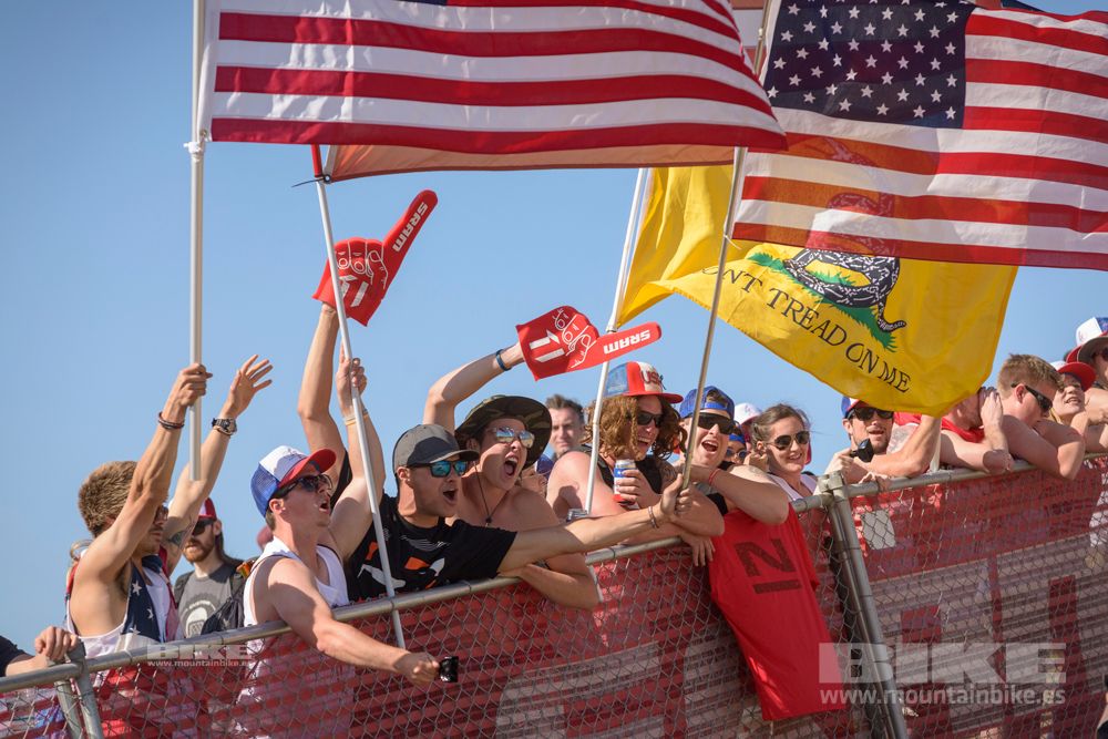 Sea Otter 2014