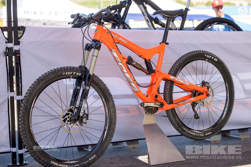 Sea Otter 2014