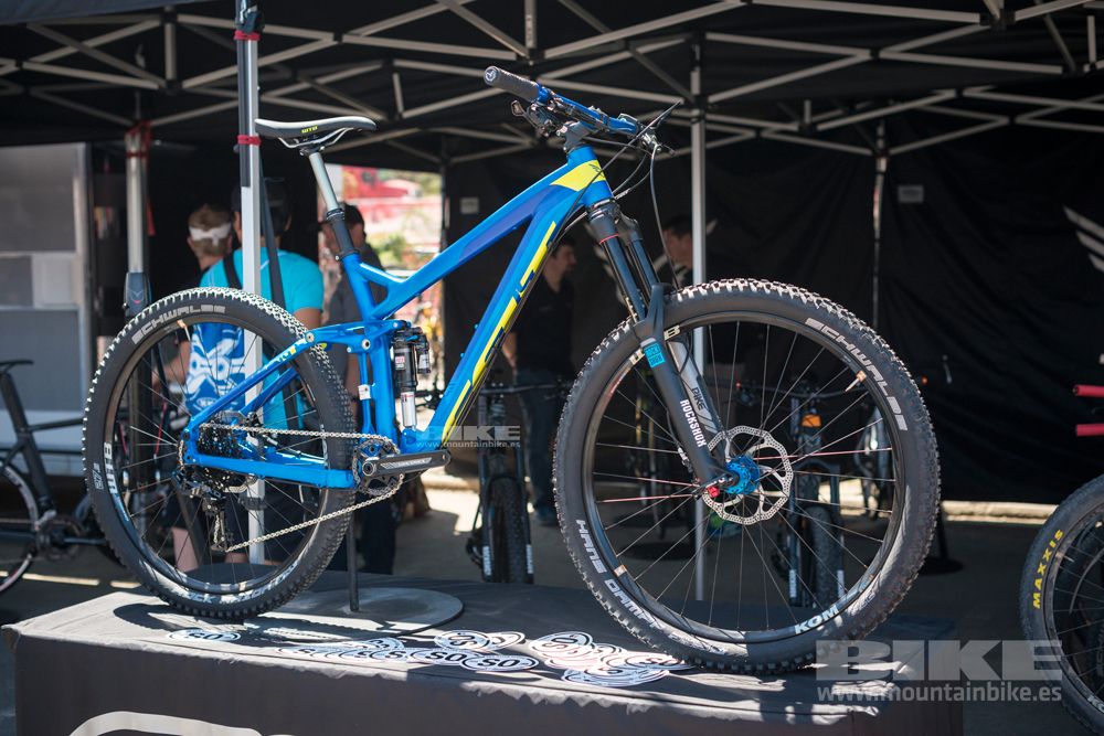 Sea Otter 2014