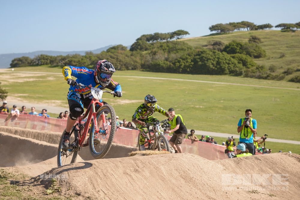 Sea Otter 2014