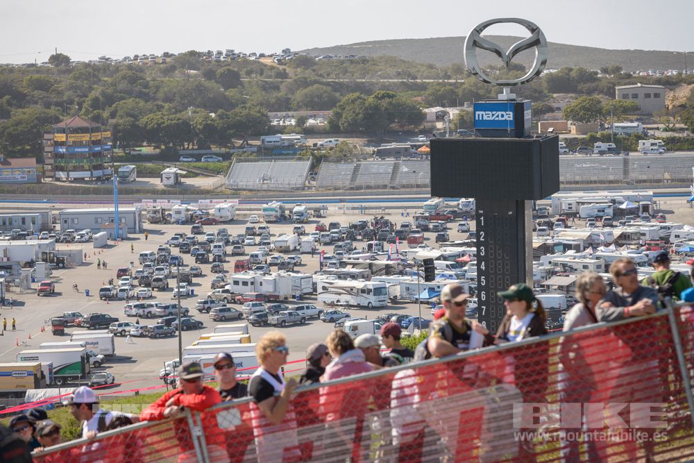 Sea Otter 2014