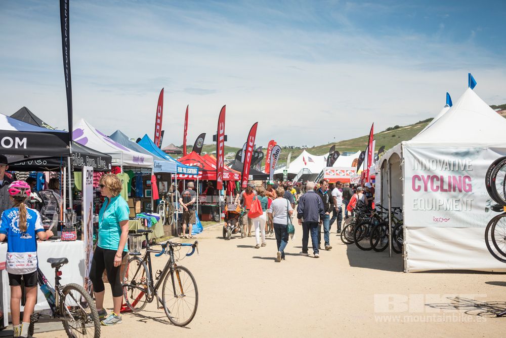 Sea Otter 2014
