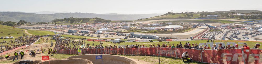 Sea Otter 2014