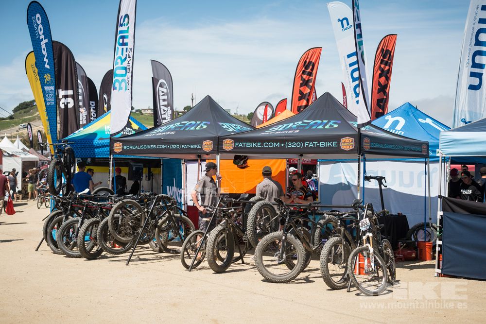 Sea Otter 2014