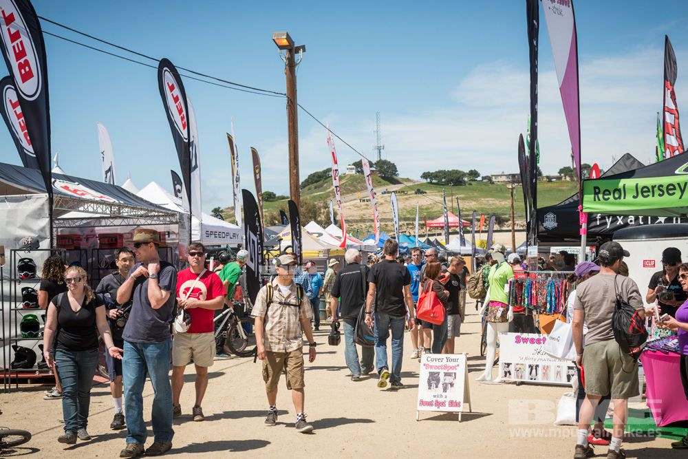 Sea Otter 2014
