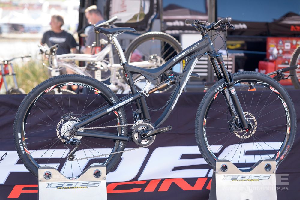 Sea Otter 2014
