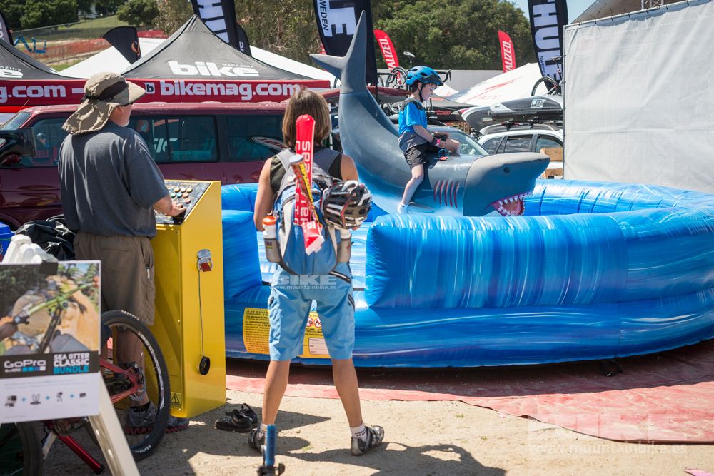 Sea Otter 2014