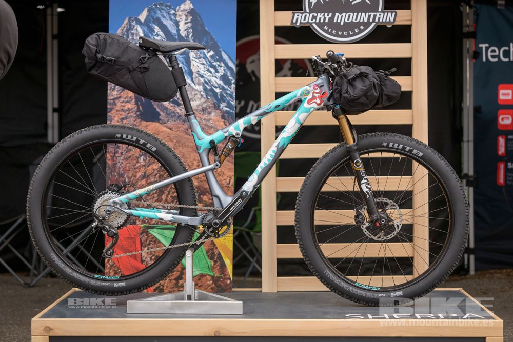 Sea Otter 2014