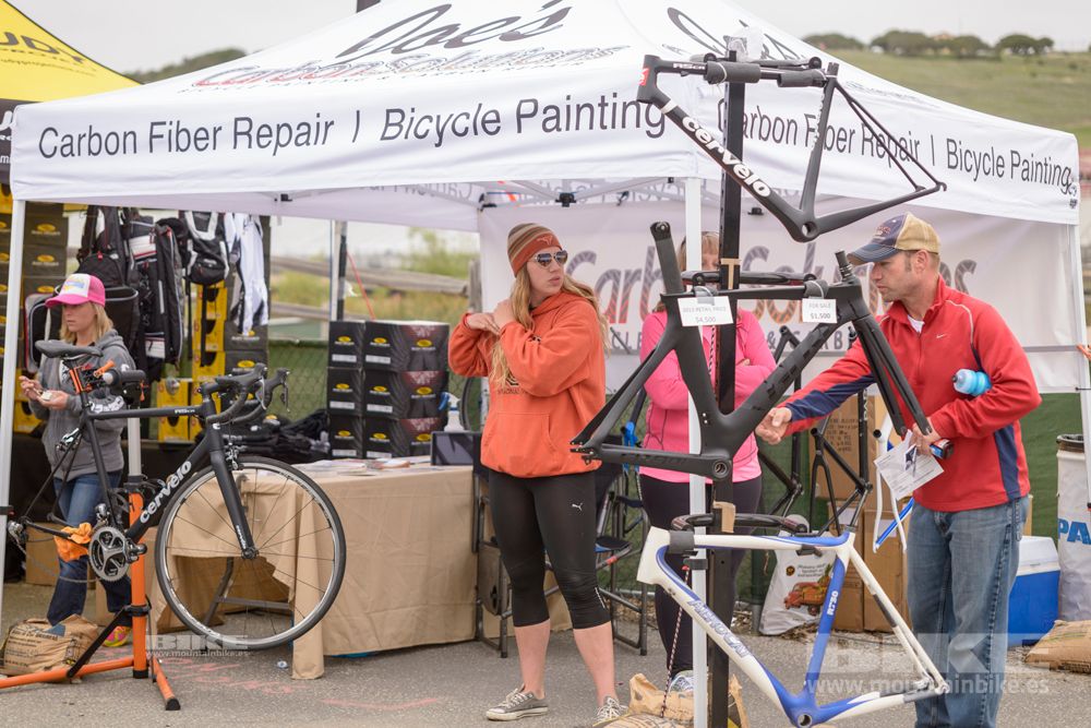 Sea Otter 2014