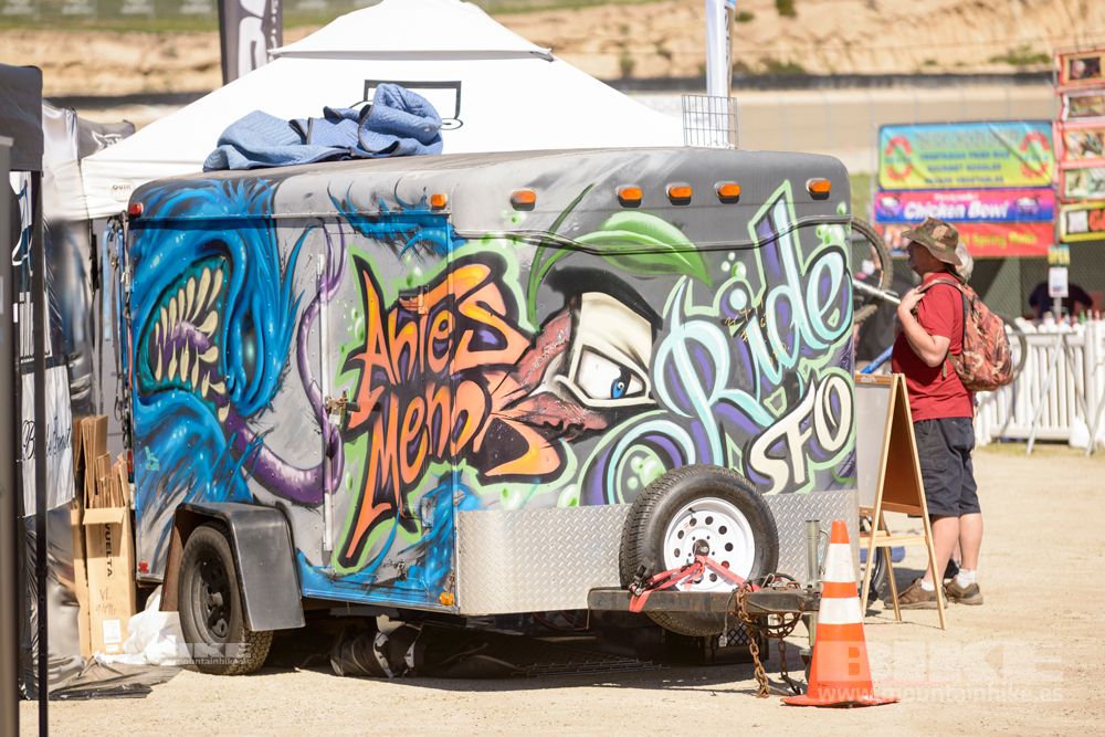 Sea Otter 2014