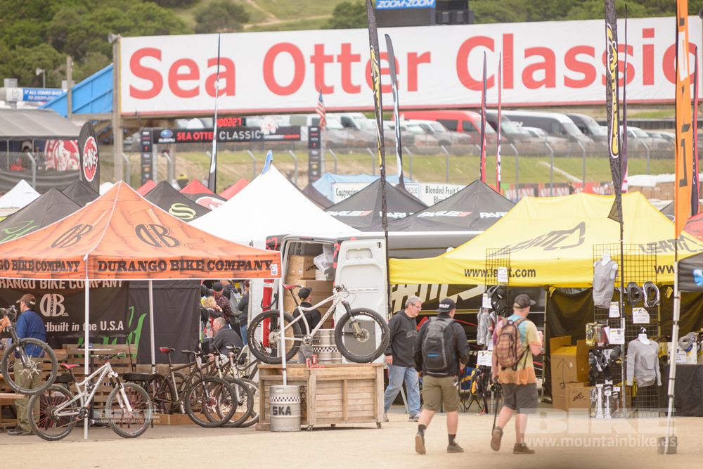 Sea Otter 2014