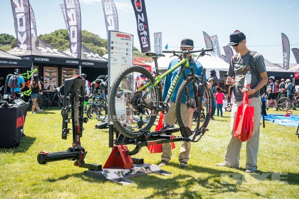 Sea Otter 2014