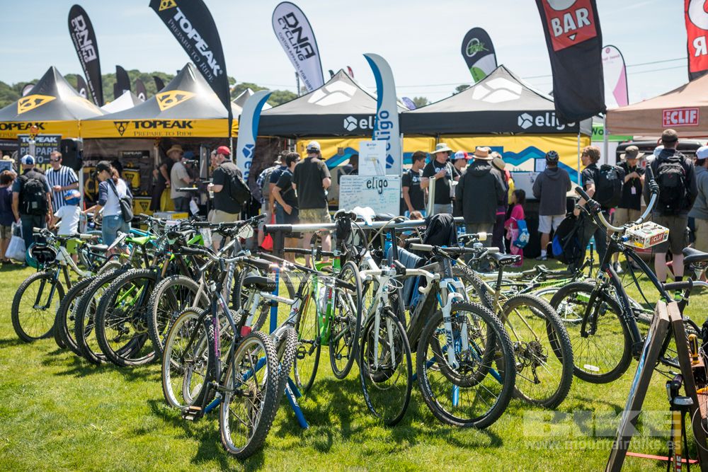 Sea Otter 2014