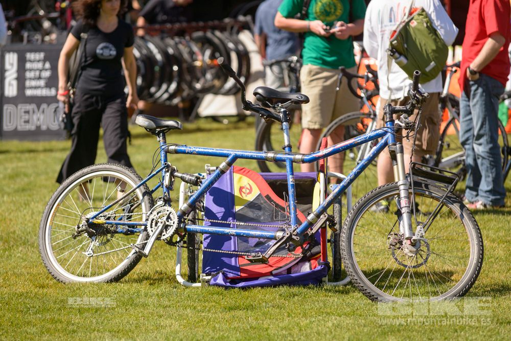 Sea Otter 2014