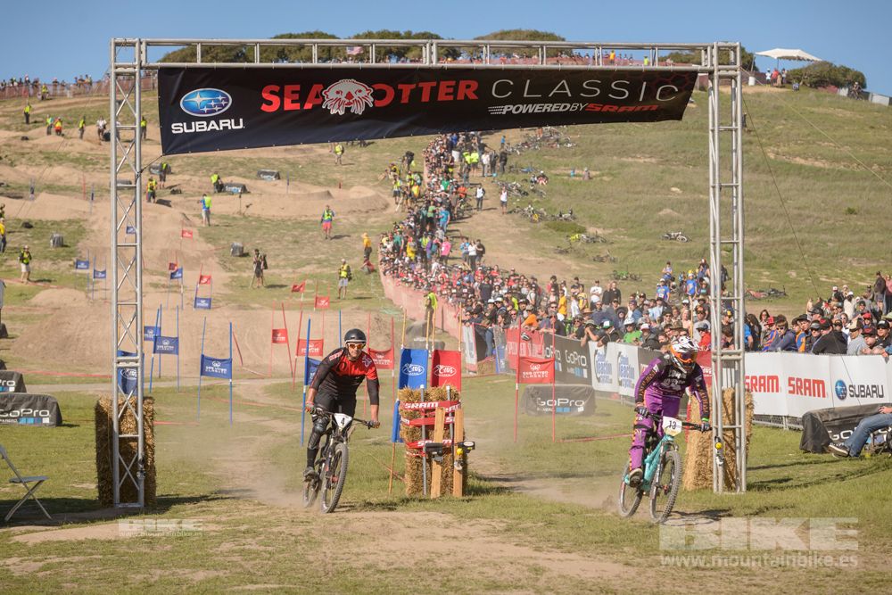 Sea Otter 2014