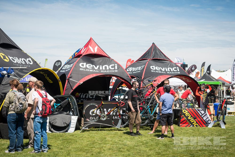 Sea Otter 2014