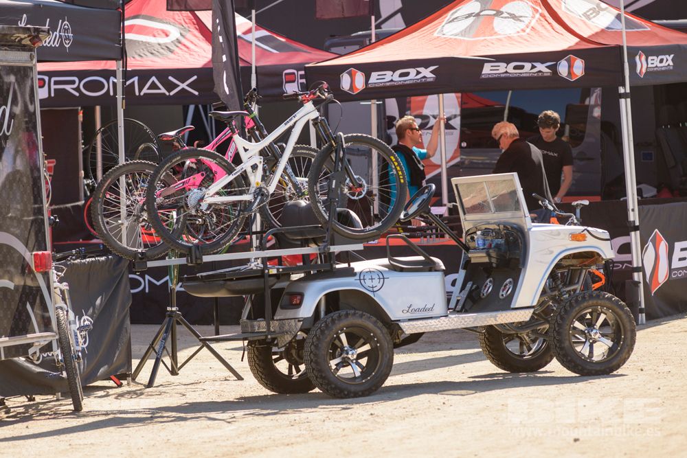 Sea Otter 2014