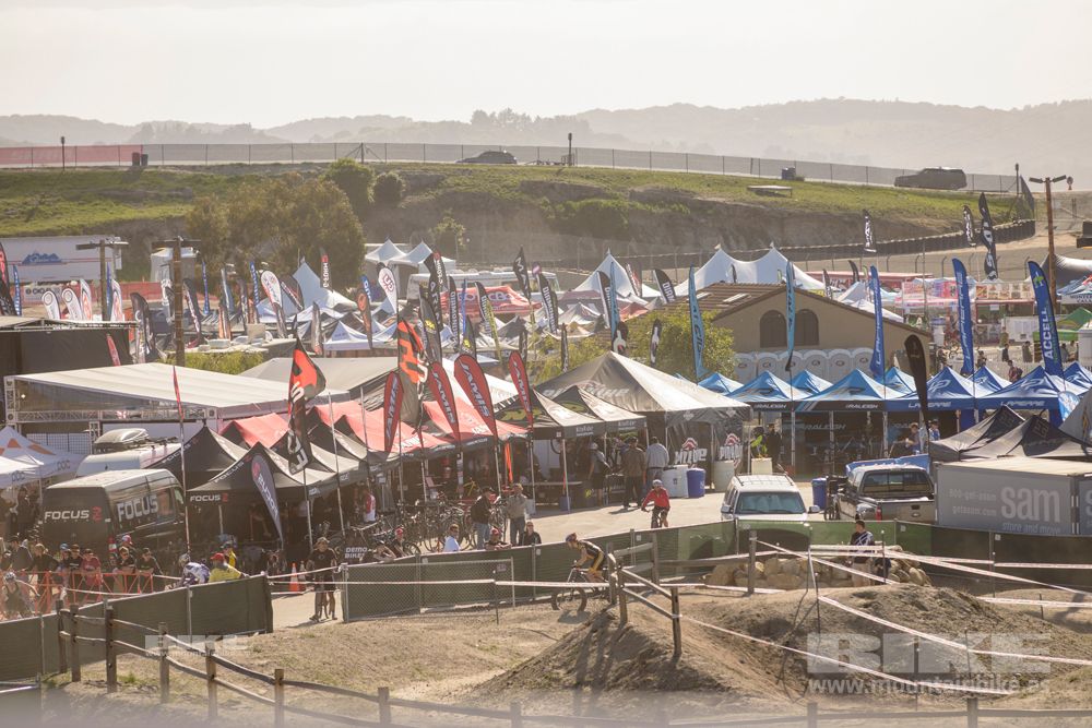 Sea Otter 2014