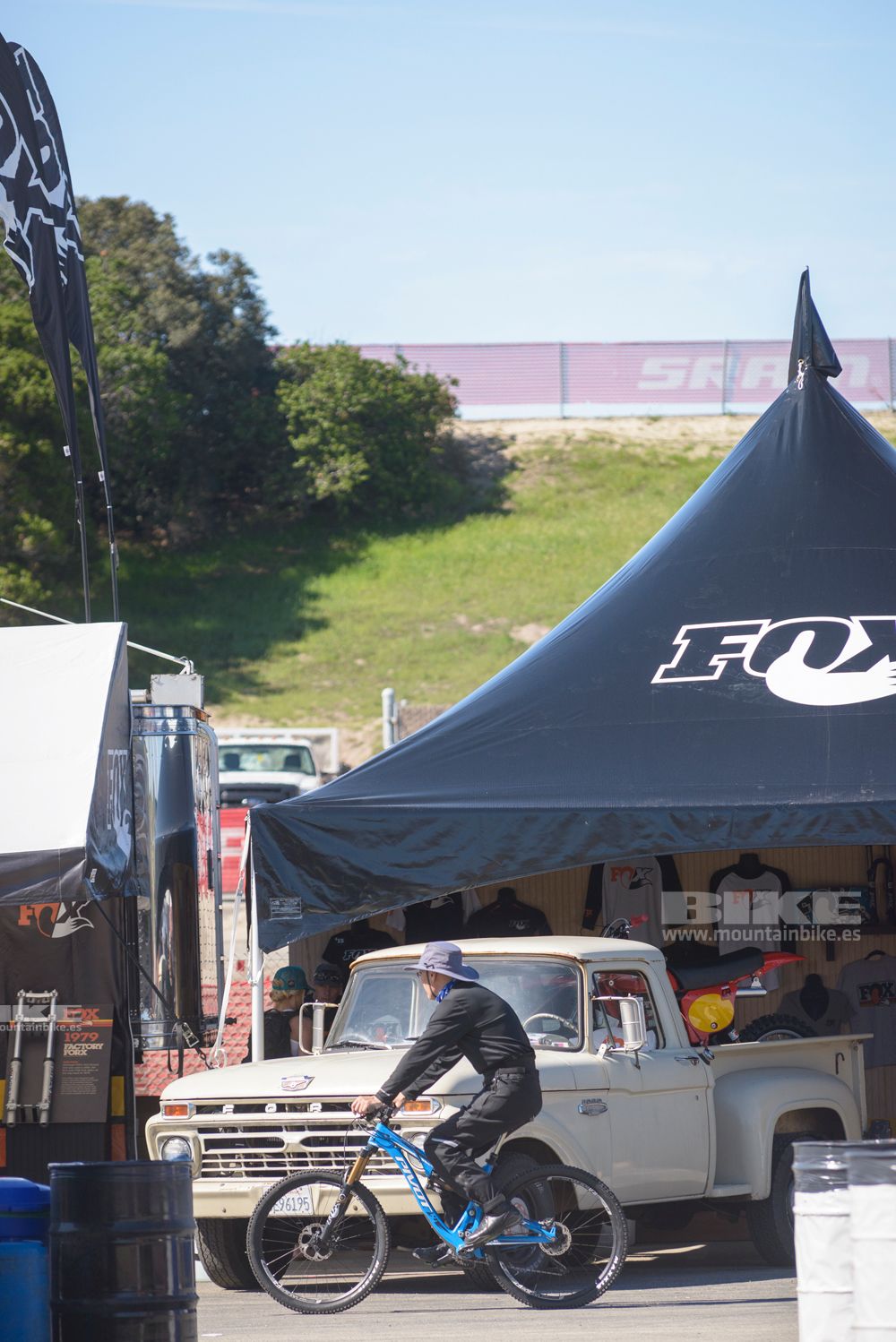 Sea Otter 2014