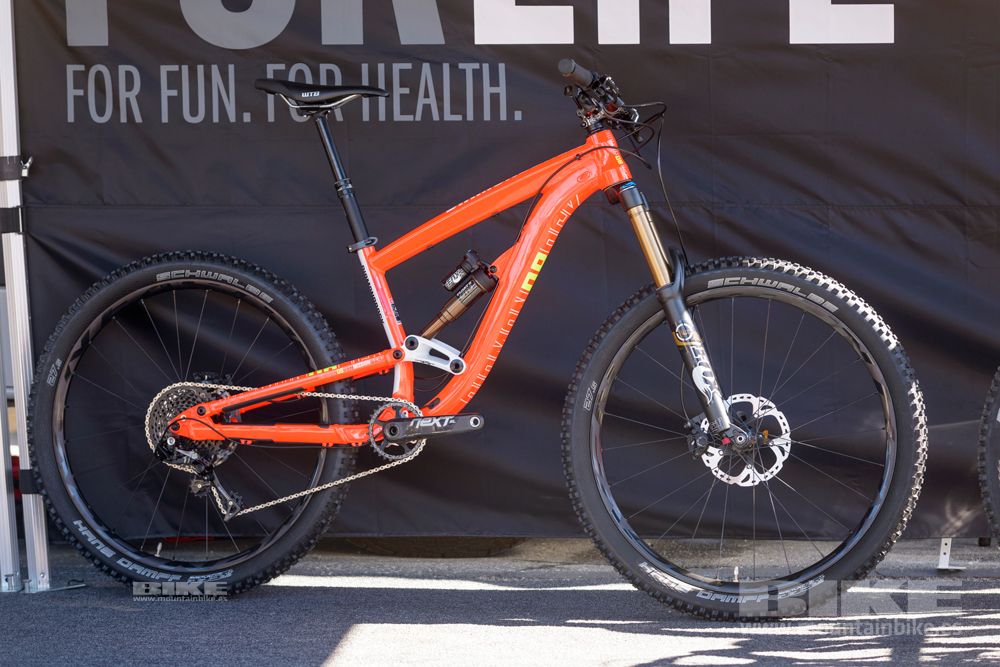 Sea Otter 2014