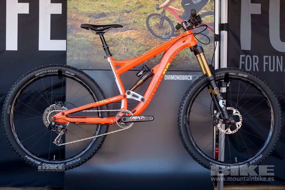 Sea Otter 2014