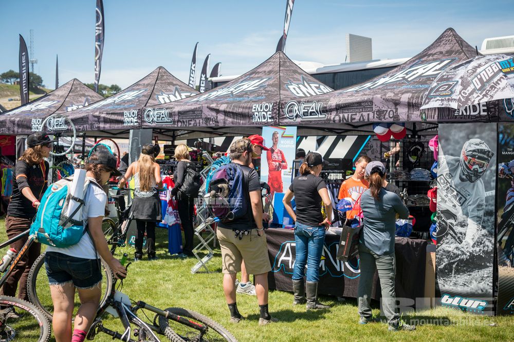 Sea Otter 2014