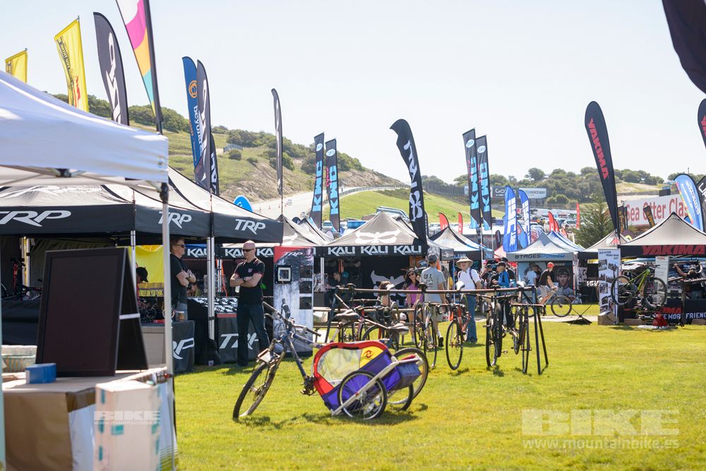 Sea Otter 2014