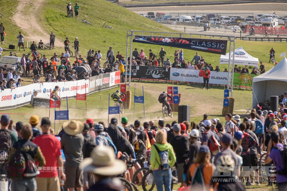 Sea Otter 2014