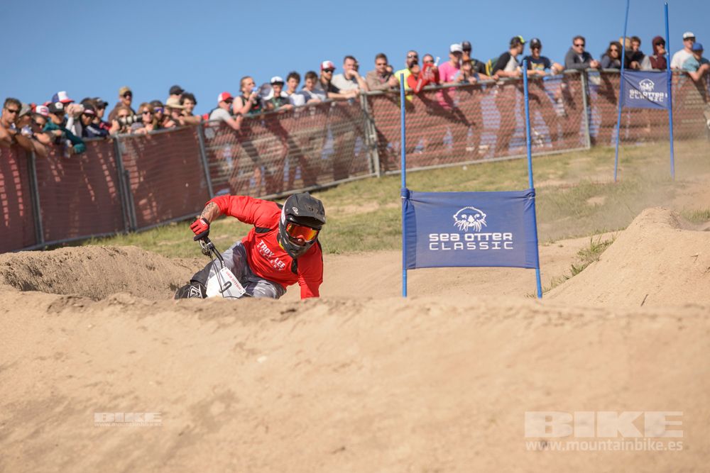 Sea Otter 2014