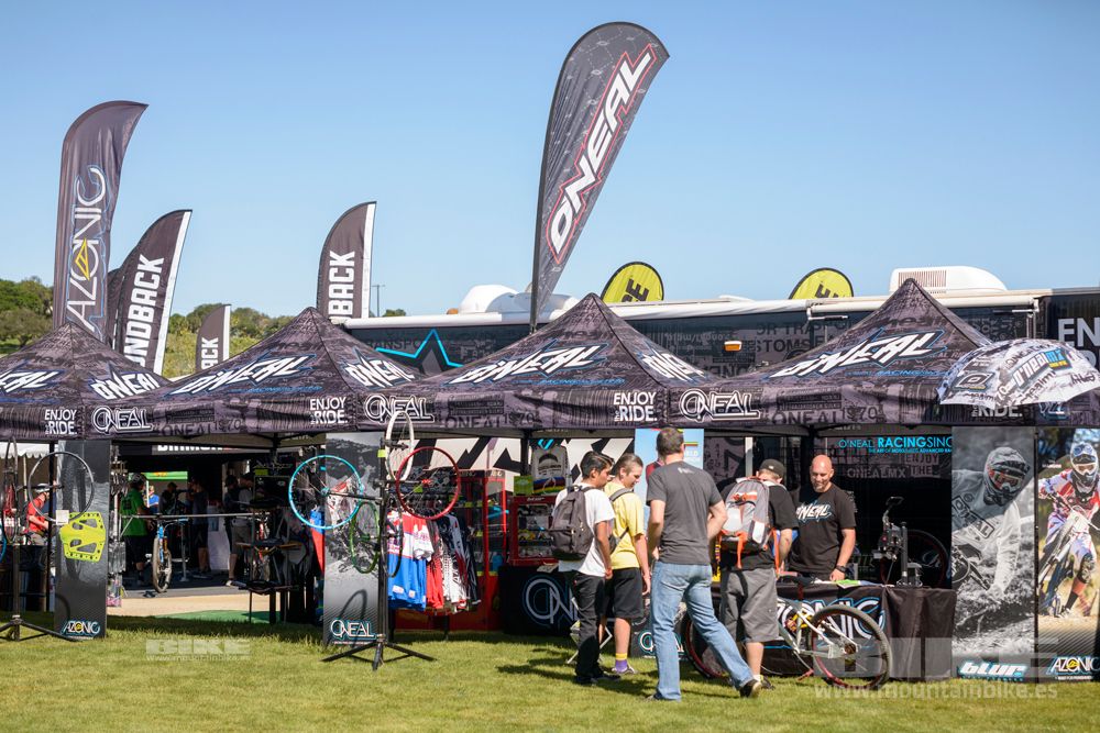Sea Otter 2014