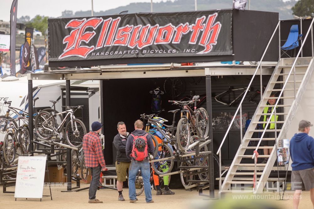 Sea Otter 2014