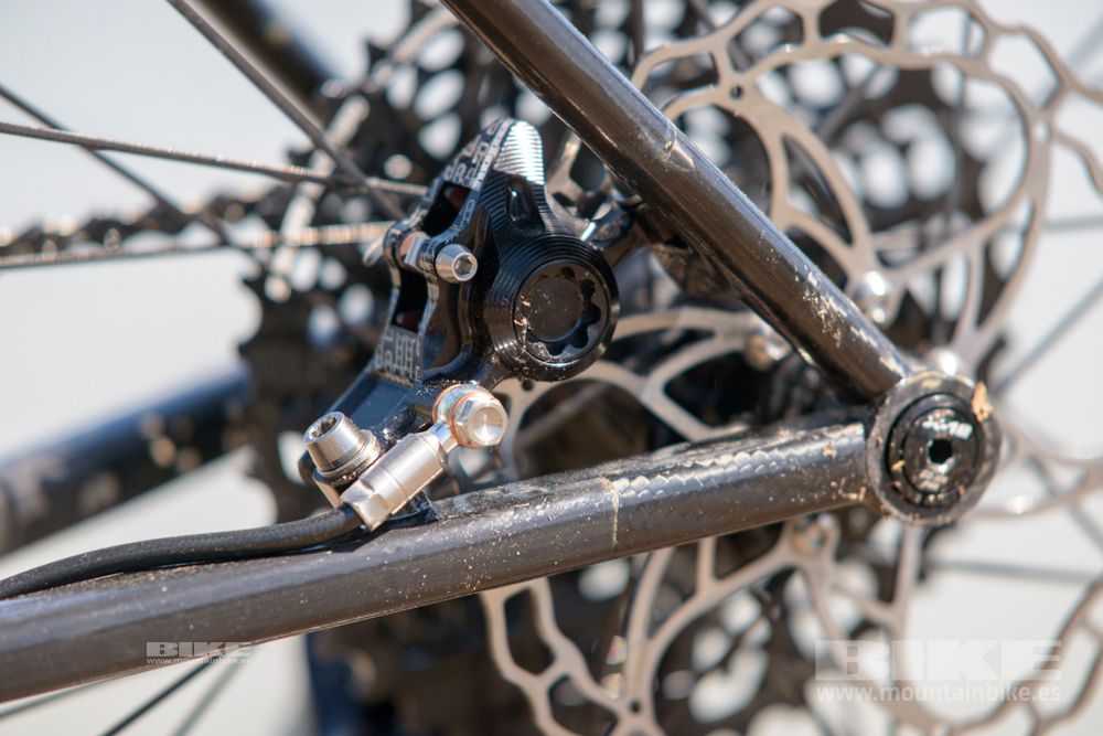 Sea Otter 2014