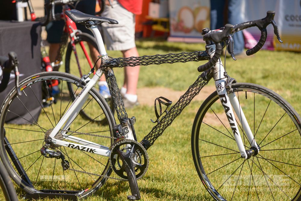 Sea Otter 2014