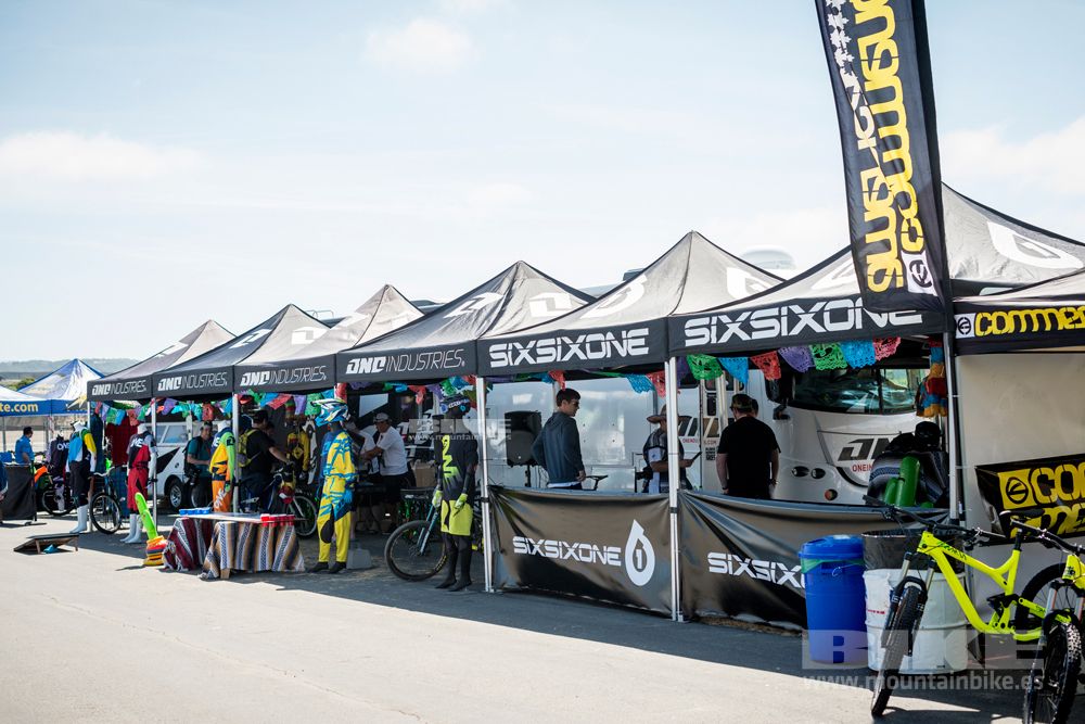 Sea Otter 2014