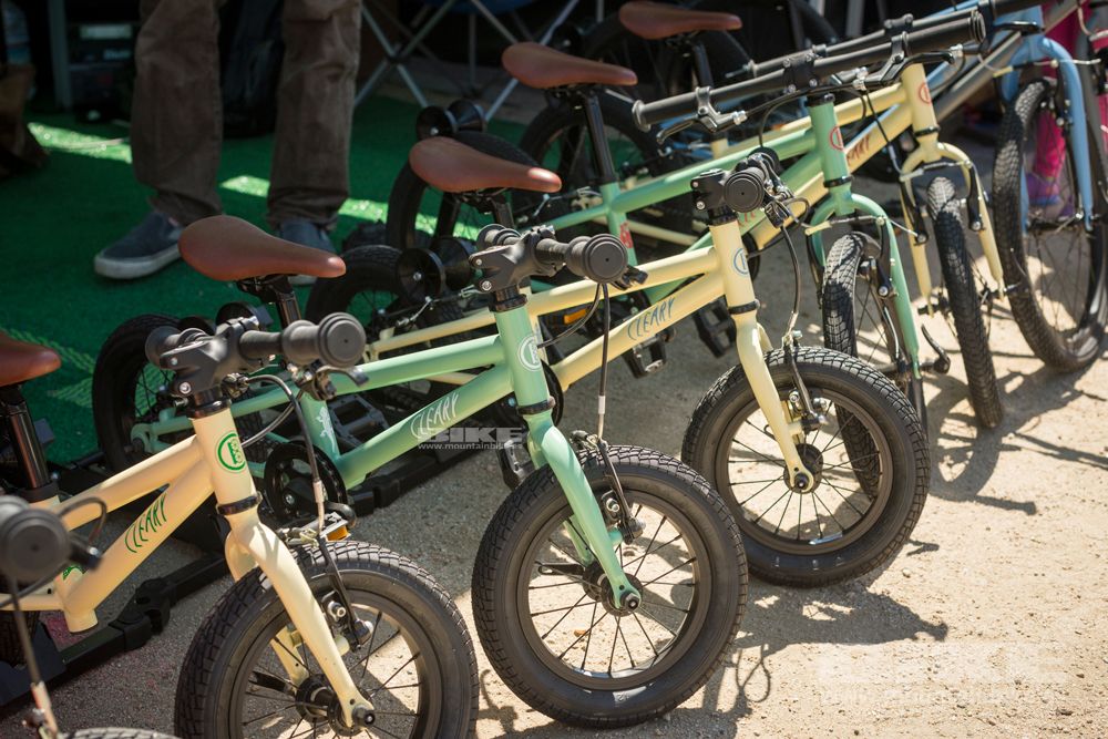 Sea Otter 2014