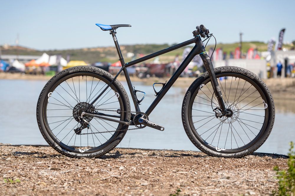 Sea Otter 2014