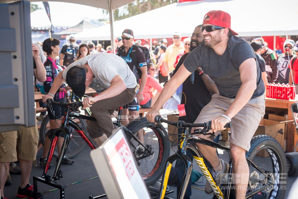 Sea Otter 2014